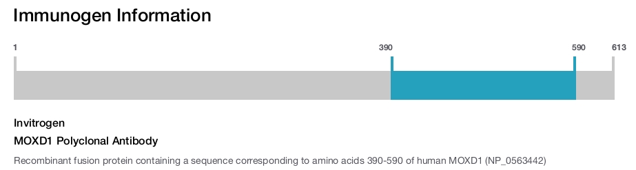 MOXD1 Polyclonal Antibody