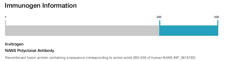 NANS Polyclonal Antibody