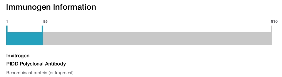 PIDD Polyclonal Antibody