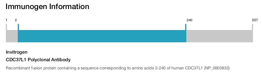 CDC37L1 Polyclonal Antibody
