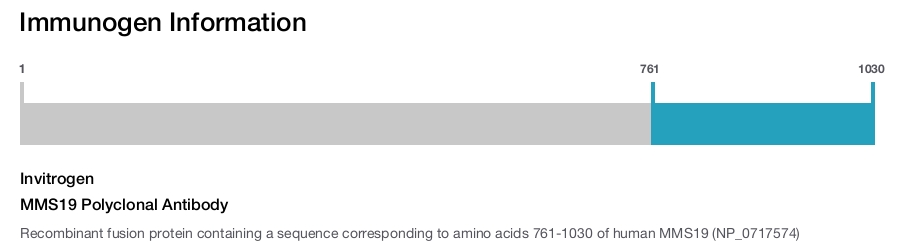 MMS19 Polyclonal Antibody
