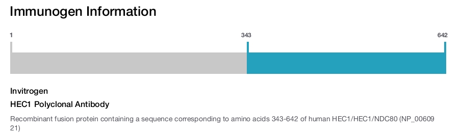 HEC1 Polyclonal Antibody