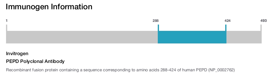 PEPD Polyclonal Antibody