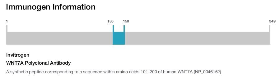 WNT7A Polyclonal Antibody