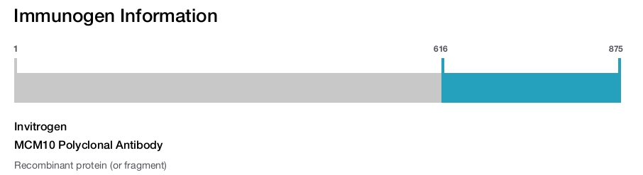MCM10 Polyclonal Antibody