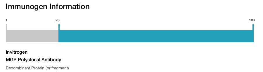 MGP Polyclonal Antibody