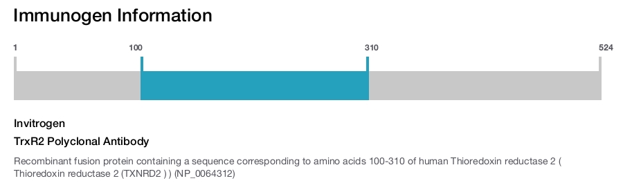 TrxR2 Polyclonal Antibody
