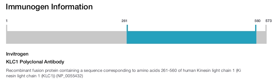KLC1 Polyclonal Antibody