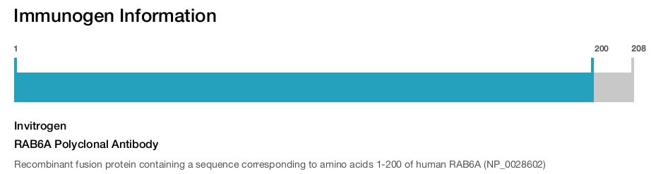 RAB6A Polyclonal Antibody