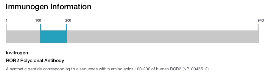 ROR2 Polyclonal Antibody