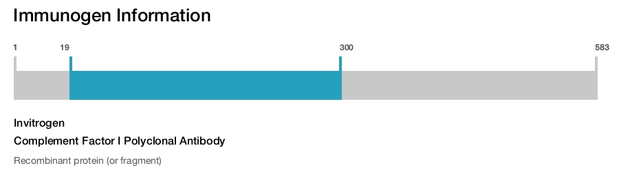 Complement Factor I Polyclonal Antibody