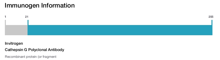Cathepsin G Polyclonal Antibody