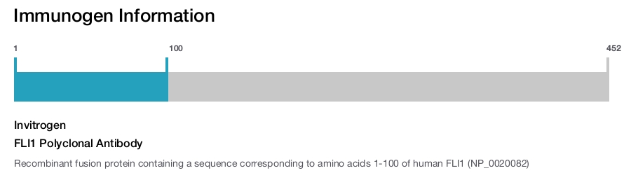 FLI1 Polyclonal Antibody