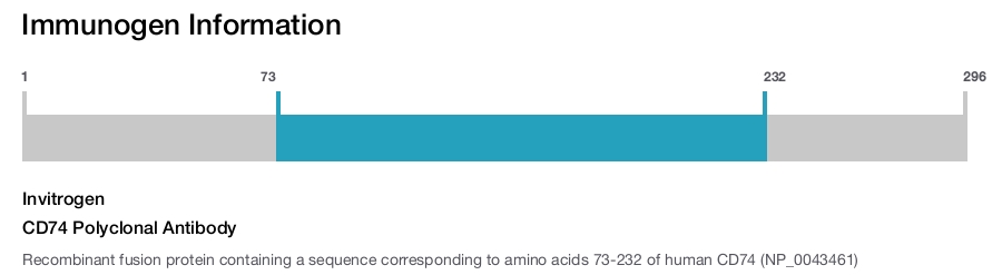 CD74 Polyclonal Antibody