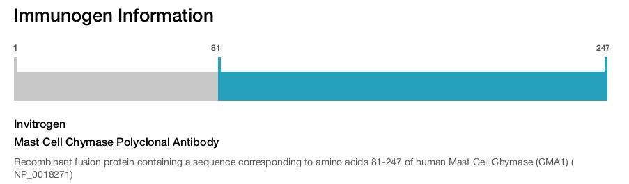 Mast Cell Chymase Polyclonal Antibody
