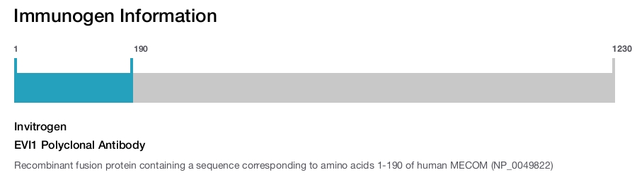 EVI1 Polyclonal Antibody