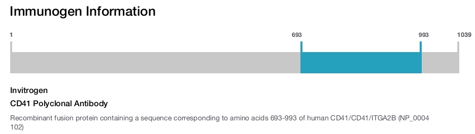 CD41 Polyclonal Antibody