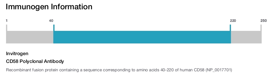 CD58 Polyclonal Antibody