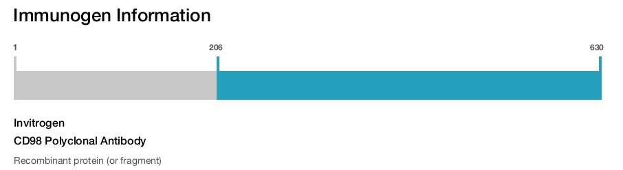 CD98 Polyclonal Antibody