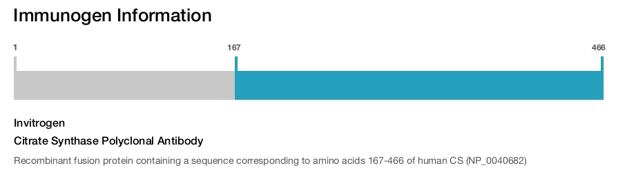Citrate Synthase Polyclonal Antibody