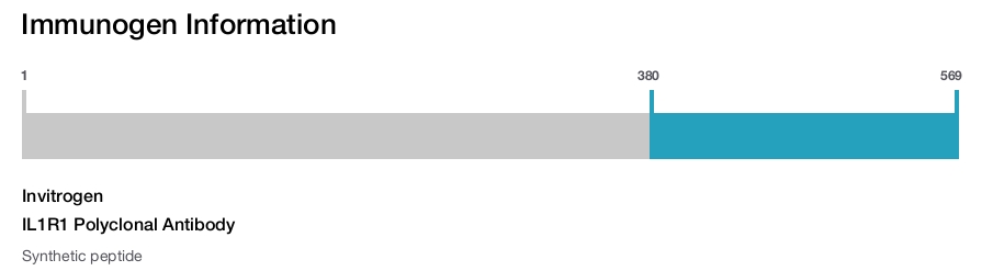 IL1R1 Polyclonal Antibody