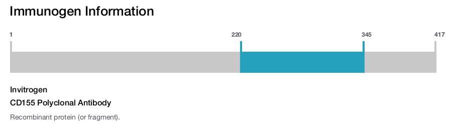 CD155 Polyclonal Antibody