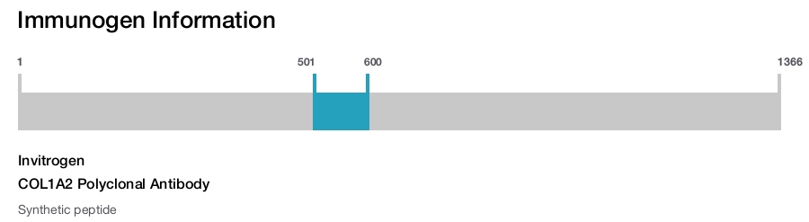 COL1A2 Polyclonal Antibody
