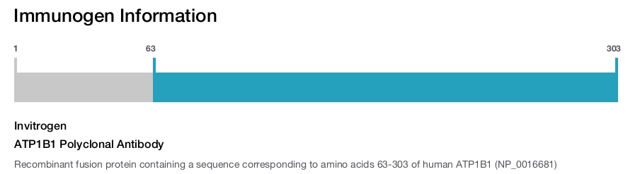 ATP1B1 Polyclonal Antibody
