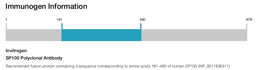 SP100 Polyclonal Antibody