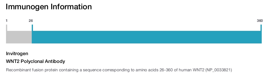 WNT2 Polyclonal Antibody