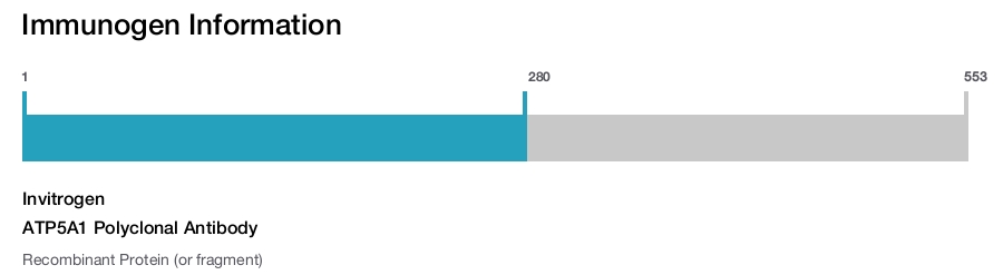 ATP5A1 Polyclonal Antibody