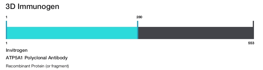 ATP5A1 Polyclonal Antibody