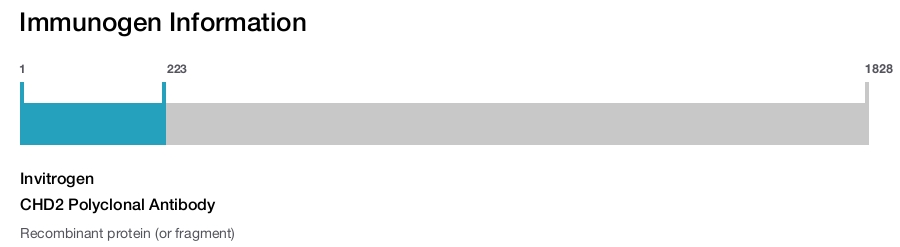 CHD2 Polyclonal Antibody