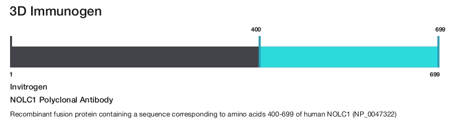 NOLC1 Polyclonal Antibody