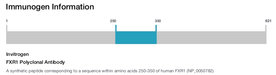 FXR1 Polyclonal Antibody