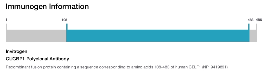 CUGBP1 Polyclonal Antibody