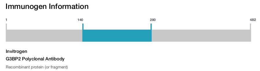 G3BP2 Polyclonal Antibody