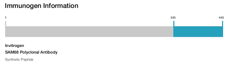 SAM68 Polyclonal Antibody