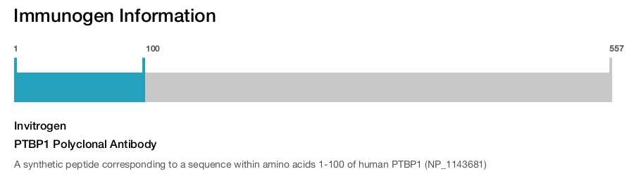 PTBP1 Polyclonal Antibody