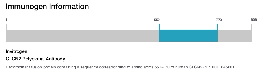 CLCN2 Polyclonal Antibody