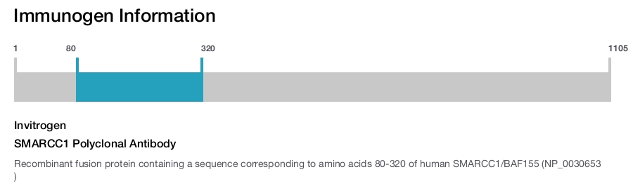 SMARCC1 Polyclonal Antibody