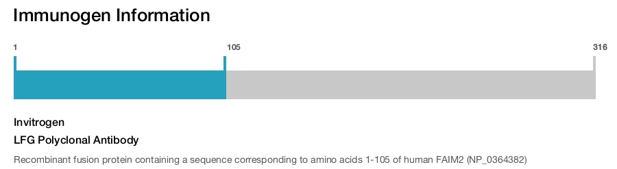 LFG Polyclonal Antibody