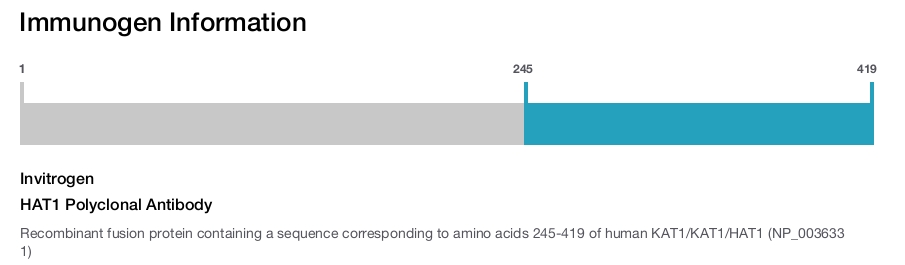 HAT1 Polyclonal Antibody