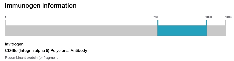 CD49e (Integrin alpha 5) Polyclonal Antibody