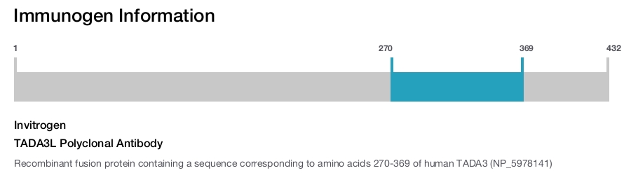TADA3L Polyclonal Antibody