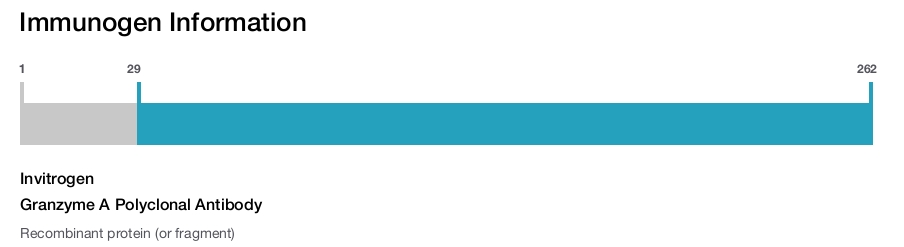 Granzyme A Polyclonal Antibody