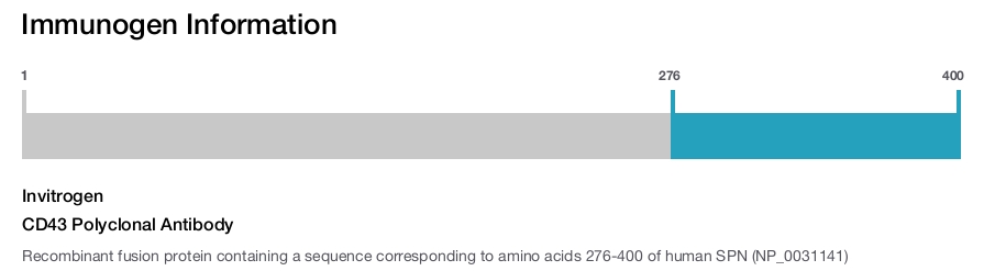 CD43 Polyclonal Antibody