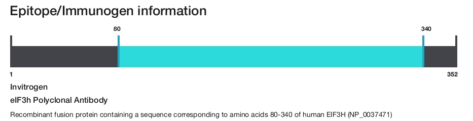 eIF3h Polyclonal Antibody