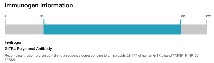 GITRL Polyclonal Antibody
