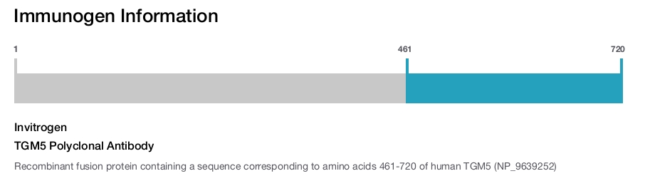 TGM5 Polyclonal Antibody